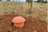 Olla installé en terre pour irrigation sans intervention