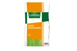 Gazon Carneau n°40