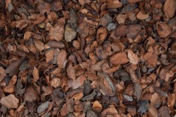 Coque de Cacao en sac 70 L