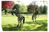 Statues cheval cabré pour la décoration paysagère