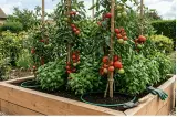 Terre végétale et compost pour un potager productif