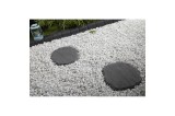 Pas japonais pour jardin moderne et élégant