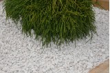 Zoom Gravier Calcaire Blanc 8/16