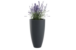 Bac à fleurs Bora