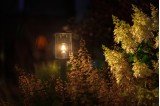 Borne lumineuse Eros 12 V