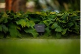 Switch Smart (wifi)