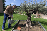 Ollas 8 tailles au choix