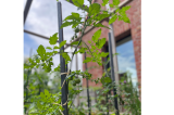 Tuteur plante grimpante H.150 ou 190 cm