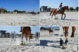 Sable blanc siliceux pour carrière et sport equestre