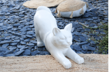 Statue Chat en Terrazzo Blanc - H. 32 cm