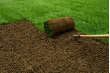 Terre végétale pour création de pelouses