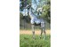 Statue girafe en métal recyclé