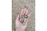 Tout venant 0/31,5 mm en calcaire GNT0315