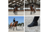Sable equestre pour chevaux
