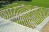 Dalle béton losange à engazonner