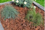 Ecorce de pin décorative 25/45 mm en massif