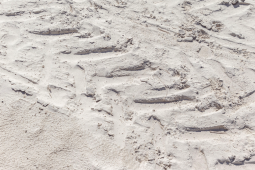 sable équestre pour sol de manége ou carrière destinés à l'équitation