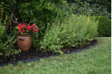 Rouleau bordure de jardin noire en plastique recyclé 20 m